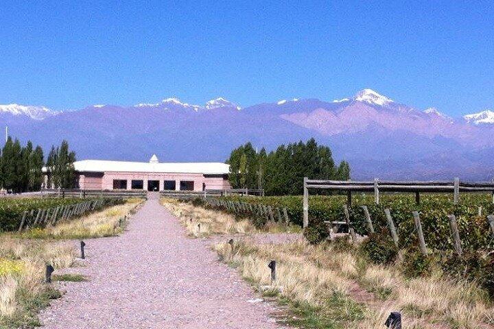 Transfert vers la vallée de Salentein Uco avec déjeuner et visite