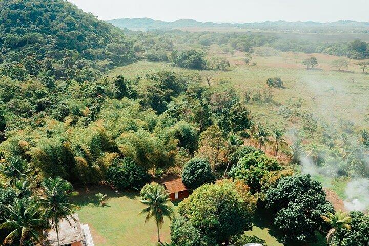 Rastafari-Kulturerlebnis mit dem ATV ab Negril