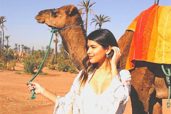 Dinner show and Sunset Camel riding Agafay desert