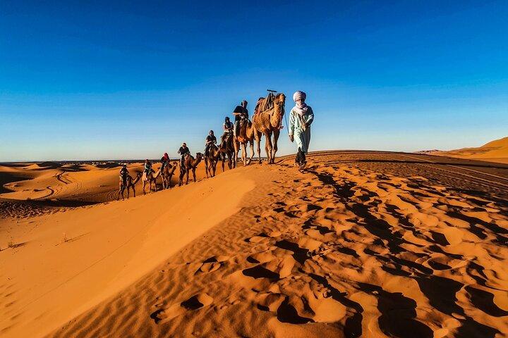 Dinner show and Sunset Camel riding Agafay desert