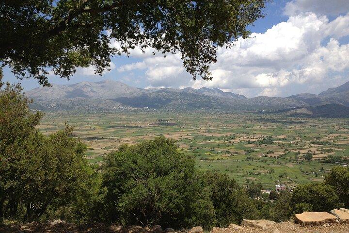 Kombineret guidet tur til Lasithi Plateau & Knossos Palace
