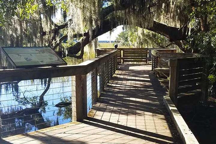 Hilton Head Segway Eco Fun Ride (90 minutter)