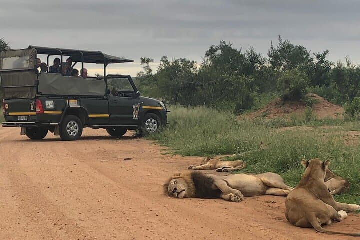 Full Day Kruger National Park Game Drive