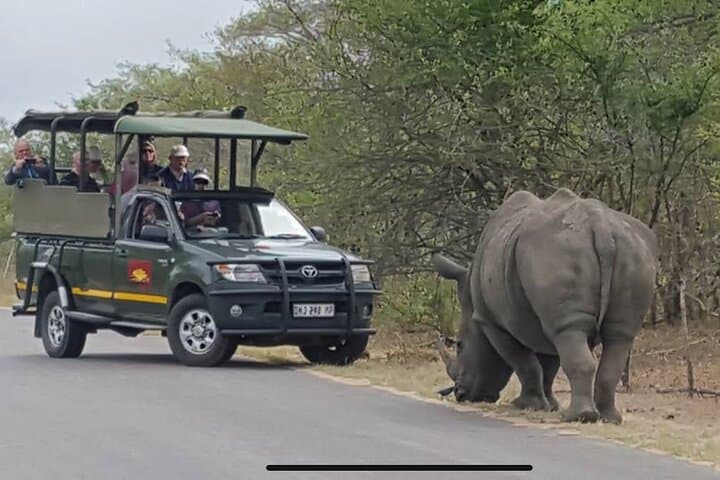 Full Day Kruger National Park Game Drive