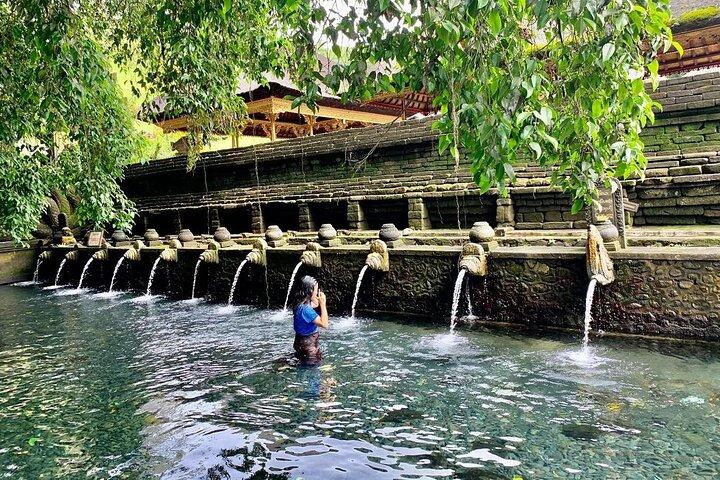 Visite privée personnalisée: 10 heures de Best of Bali Tour