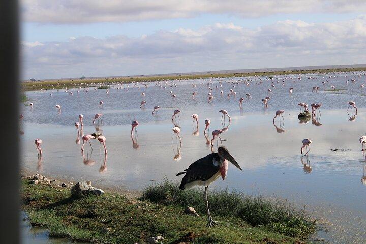 7 giorni, 6 notti di fotografia naturalistica e birdwatching