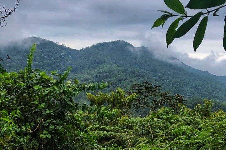 Forest and Waterfall walk from Andoke with local Nature Guide