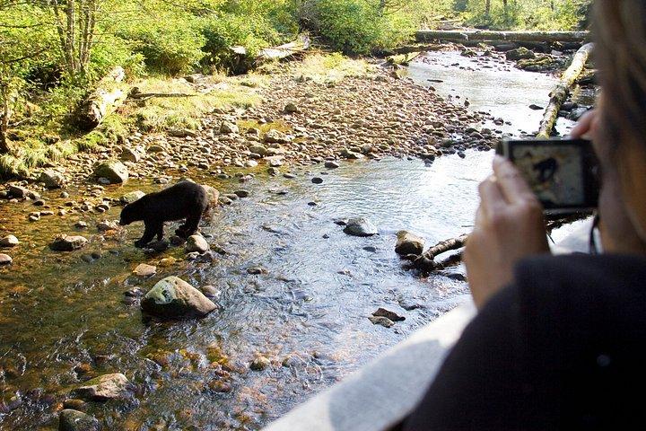 Wilderness and Wildlife Hiking Tour - 3hr Hike