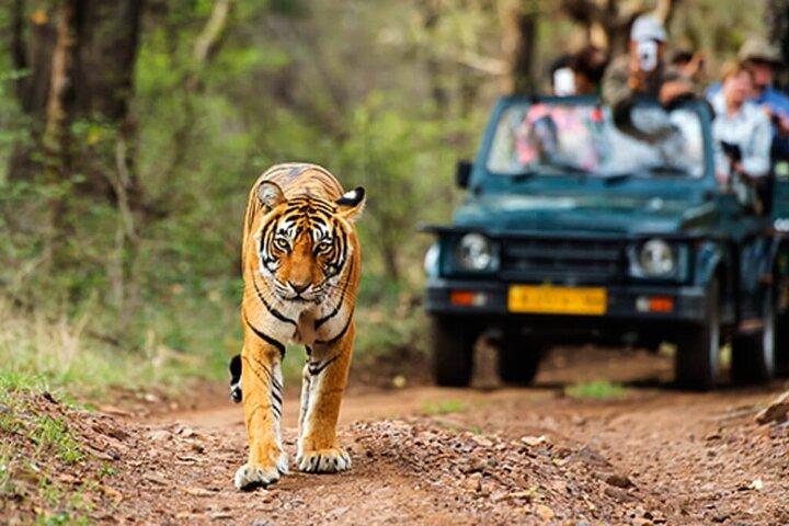 Golden Triangle Tour con Ranthambore (Hotel de 3 estrellas)