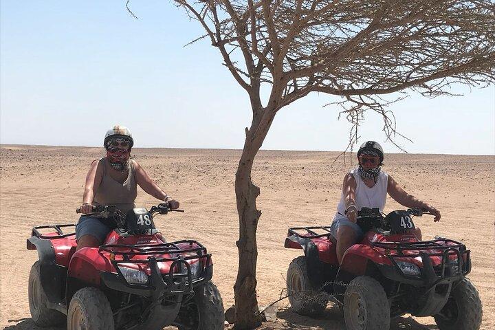 Passeio de camelo e jantar beduíno quad safari em Sharm el Sheikh