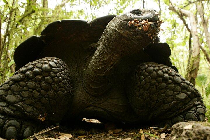 Galapagos Intensive 5 days,land base (3Islands) Exclude galapagos flight