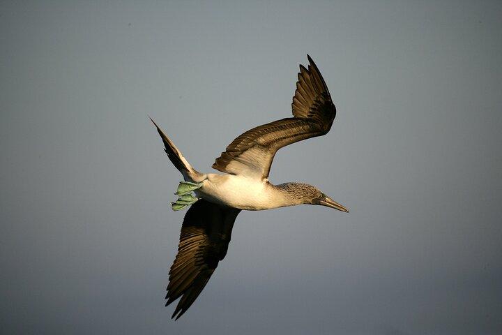 Galapagos Intensive 5 days,land base (3Islands) Exclude galapagos flight