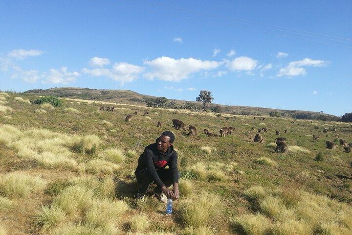 Circuit de 12 jours dans le nord de l'Éthiopie et trek dans les montagnes du Simien