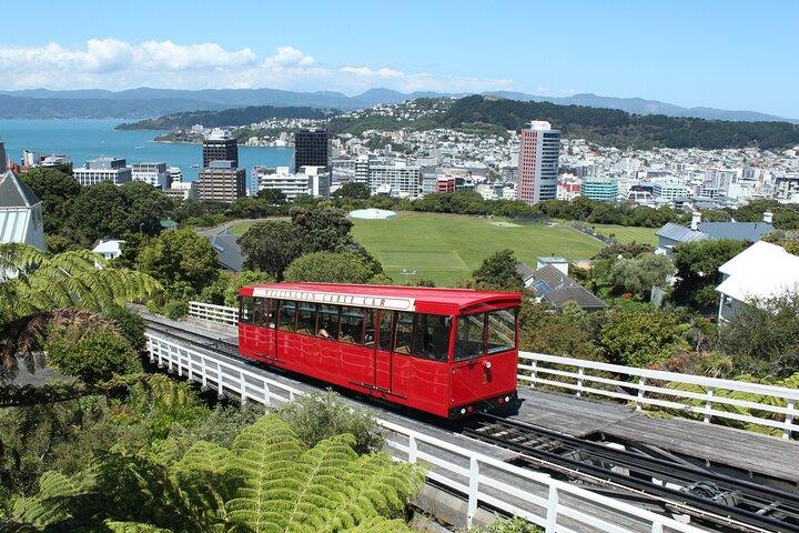 Wellington schilderachtige dagtour