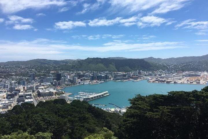 Wellington schilderachtige dagtour
