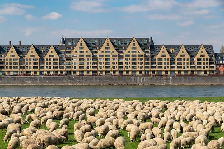 Cologne Private Roundtrip transfer incl. chocolate museum tickets
