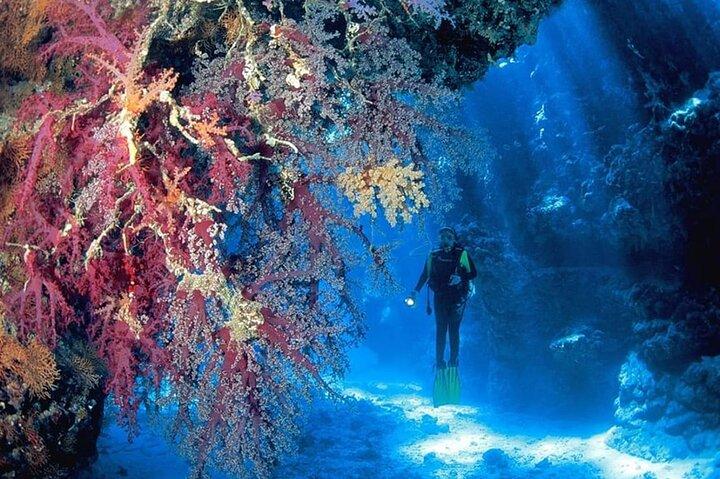 Diving Tour a Ras Mohammed in barca
