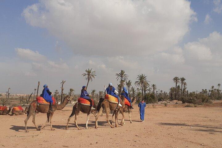 Camel Ride & Quad Bike-ture i palmerne i Marrakech