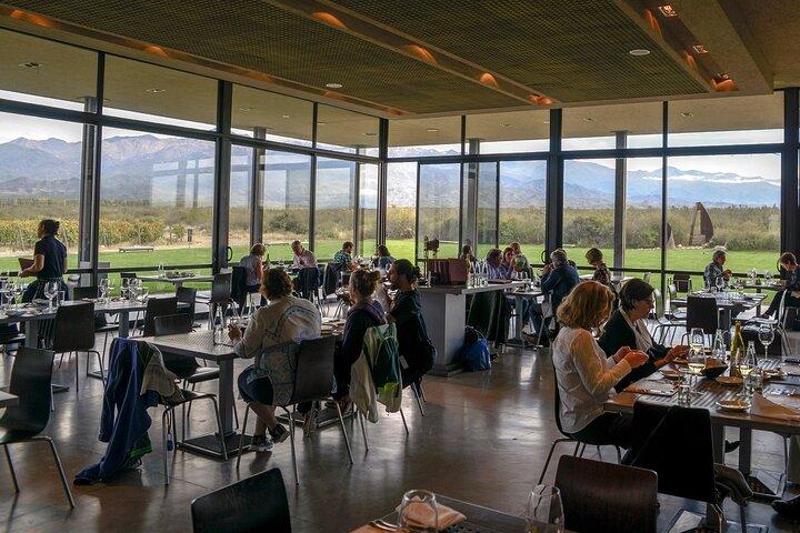 Transfert vers la vallée de Salentein Uco avec déjeuner et visite