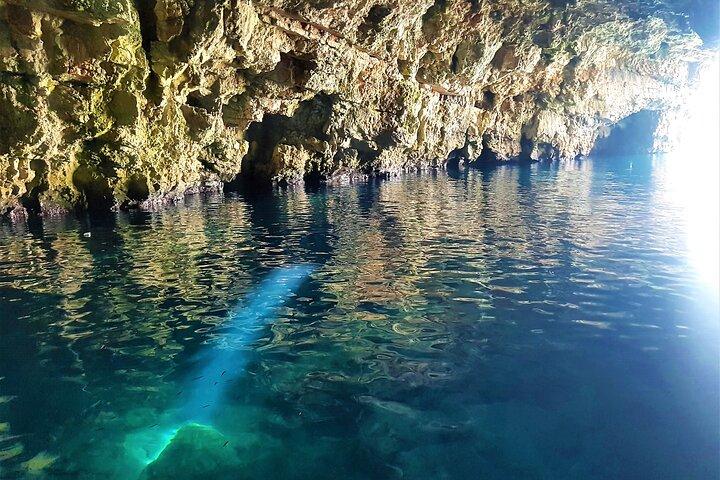 フヴァルからの水泳とシュノーケリングを伴う青の洞窟グループツアー