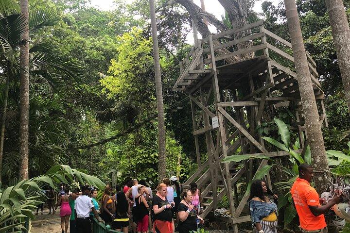 Dunns River & BlueHole Tour Includes Entry Fees
