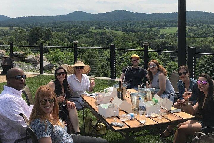 Virginia Wineries Guided Tour and Tastings from Washington DC