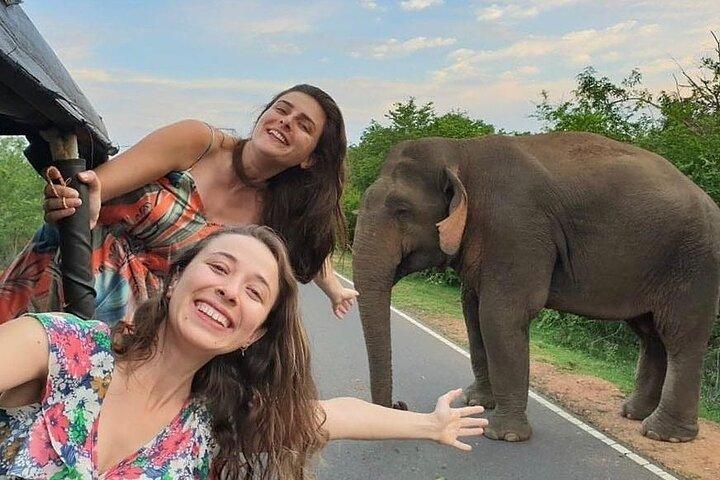 Budget Tours Sri Lanka with 7 Nights accommodation