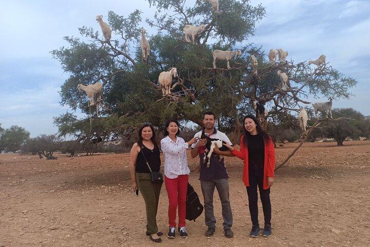 Day Trip to Essaouira From Marrakech