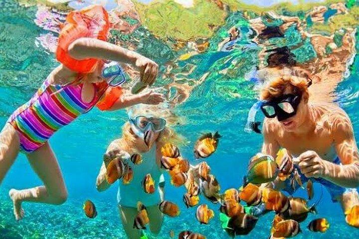 Viagem de um dia extremo 7×1 em Sharm el SHEIKH