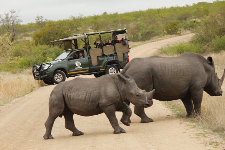 Kruger National Park sunrise Morning Private safari