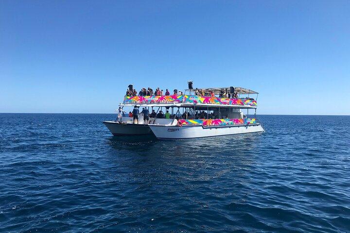 Los Cabos Whale Watching Cruise inklusive morgenmad