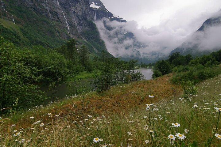 送迎サービス、高級車1〜3名様:Bergen - Flåm、Gudvangen