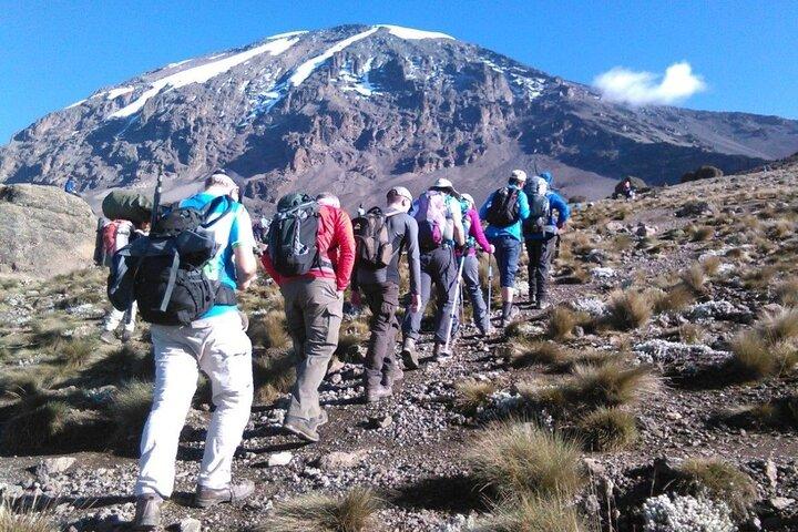 2-dages kort Kilimanjaro Trek