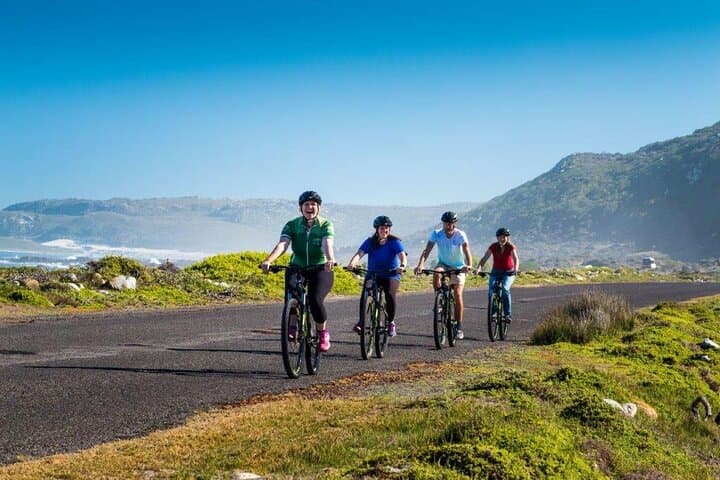 Private Cycling Tour to Cape Point from Cape Town