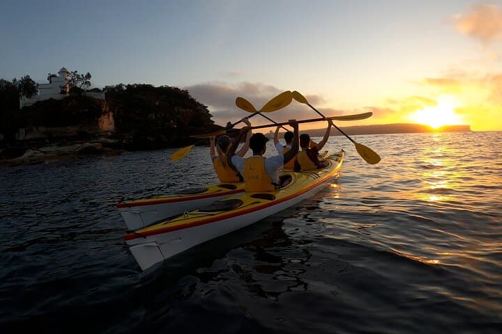 Sydney: Sunrise Escape – Middle Harbour Kayaking Experience