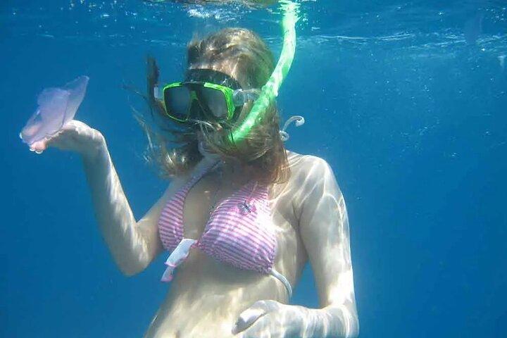 Escursione Snorkeling a Ras Mohammed e White Island