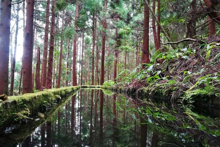 Lagoa do Fogo Visite à pied avec déjeuner de Ponta Delgada