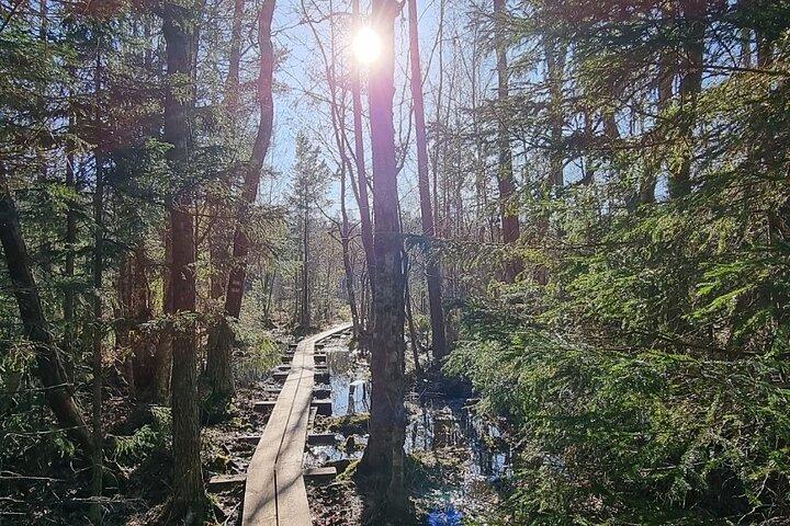 De beste natuurroutes van Estland in 1 dag!
