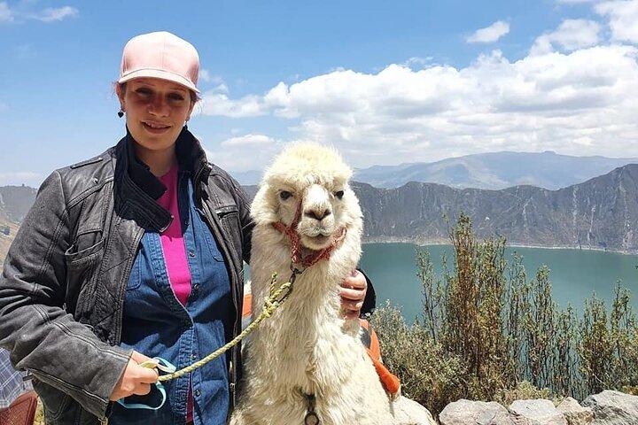 Daydream in Quilotoa: Laguna's Enchanting Embrace Awaits