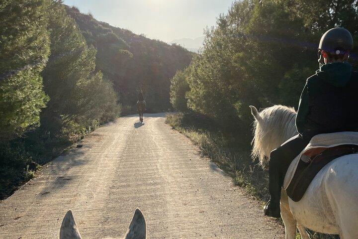 Málaga - Passeios a Cavalo Guiados