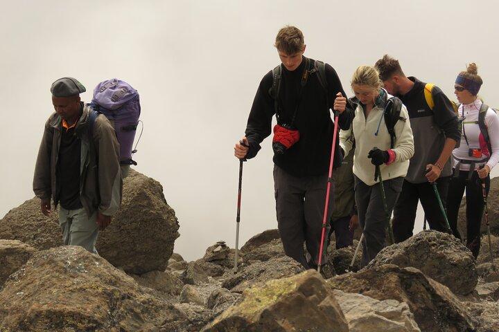 6 Dage Kilimanjaro Lemosho rute klatring og vandreture