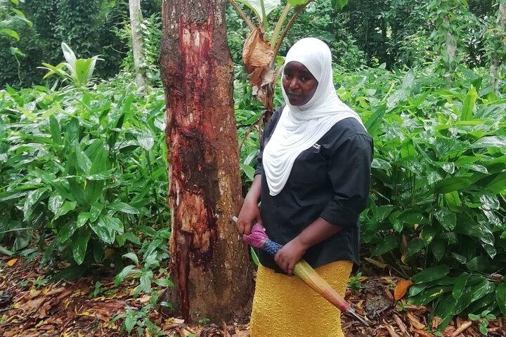 Tour privato delle spezie di Zanzibar con lezione di cucina swahili tradizionale