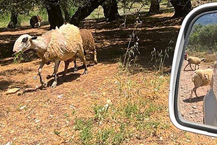 Jeep Safari 4x4 Crete real off road mountain tracks with Lunch from Hersonissos