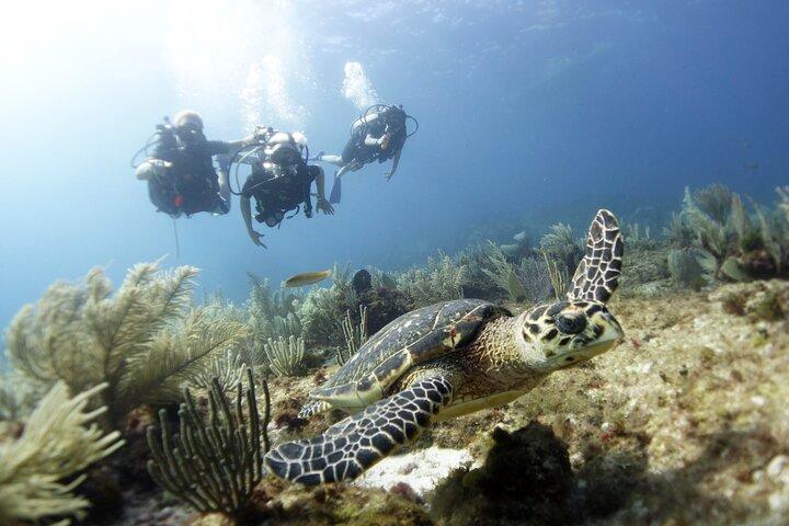 PADI Discover Scuba Diving voor duikers zonder brevet