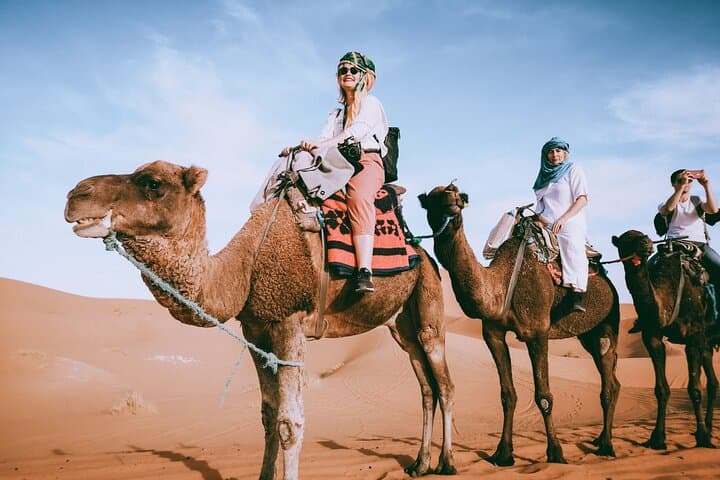 Camel or Horse ride on west bank