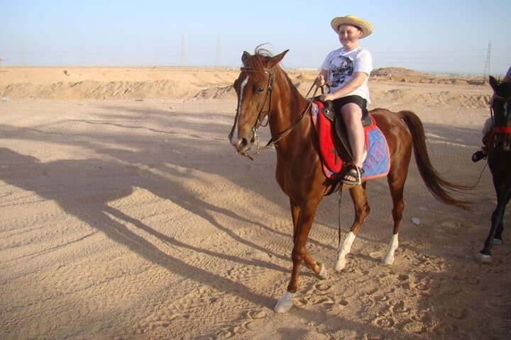 Camel or Horse ride on west bank