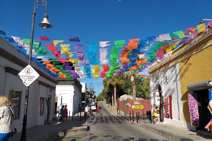 Los Cabos Half-Day Tour Discovering San Jose and San Lucas
