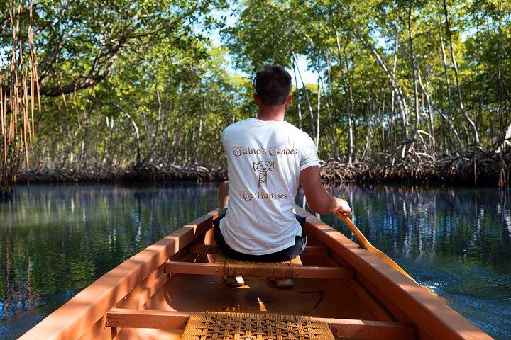 Tainos / Indigenas Los Haitises Caves and Mangroves Canoes Tour