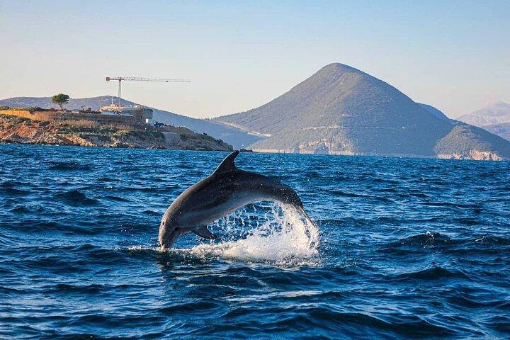 Blue Cave Kotor & Lady of the Rocks Privat tur (op til 9 personer)