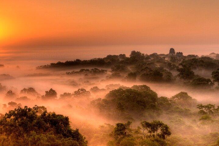 Tikal Maya Ruins Day Tour
